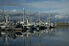 Alexia Mellups (AStarIsEarned) > Harbor Boats, Homer, Alaska.