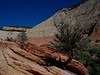 Alexia Mellups (AStarIsEarned) > Zion National Park, Utah