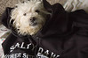 Alexia Mellups (AStarIsEarned) > Tricksi is a Salty Dawg photo