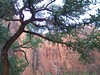 Alexia Mellups (AStarIsEarned) > Zion National Park, Utah