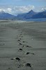 Alexia Mellups (AStarIsEarned) > Alone on the Beach in Homer, Alaska.