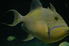 Baltimore Aquarium : 