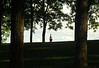 Alexia Mellups (AStarIsEarned) > Walk with the Dogs Rosemont Park - July 1st photo
