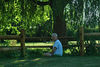 Alexia Mellups (AStarIsEarned) > Walk with the Dogs Rosemont Park - July 1st photo