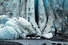Alexia Mellups (AStarIsEarned) > Seward Alaska w/ Tom, Exit Glacier >  Seward AK with Tom136