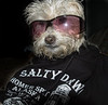 Alexia Mellups (AStarIsEarned) > Best of Alaska - Portfolio in Progress >  Salty Dawg Tricksi N-14  e1c1 JPG