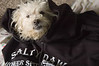 Alexia Mellups (AStarIsEarned) > Best of Alaska - Portfolio in Progress >  Salty Dawg Tricksi N-01 e1 JPG