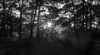 Alexia Mellups (AStarIsEarned) > Sunset at Gambrill State Park, Maryland photo