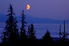 Alexia Mellups (AStarIsEarned) > Alaska Portfolio >  Orange Moon 081205136 _small