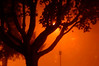 Alexia Mellups (AStarIsEarned) > Foggy Night Frederick >  Foggy Night Frederick_0001 web