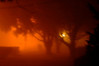 Alexia Mellups (AStarIsEarned) > Foggy Night Frederick >  Foggy Night Frederick_0003 web