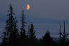 Alexia Mellups (AStarIsEarned) > Orange Moon in August, Homer, Alaska