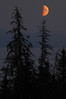 Alexia Mellups (AStarIsEarned) > Orange Moon in August, Homer, Alaska