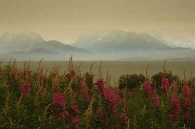 Landscapes and Vistas >  Smoke Haze and Fireweeds009