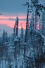 Alexia Mellups (AStarIsEarned) > Sunset from the Russian Village >  East End and Russian Village-075