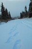 Alexia Mellups (AStarIsEarned) > Snowshoe on Christmas Eve >  Snowshoe Walk wDogs 12 24 05-009_edited-1