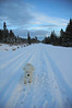 Alexia Mellups (AStarIsEarned) > Snowshoe on Christmas Eve >  Snowshoe Walk wDogs 12 24 05-015_edited-1