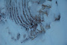Alexia Mellups (AStarIsEarned) > Snowshoe on Christmas Eve >  Snowshoe Walk wDogs 12 24 05-124