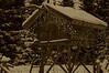 Alexia Mellups (AStarIsEarned) > Log Cache
Homer Alaska
