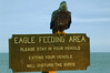 Alexia Mellups (AStarIsEarned) > Eagle Feeding Area >  Eagle-Feeding-Area-26_e1-WE