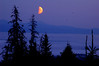 Alexia Mellups (AStarIsEarned) > Best of Alaska - Portfolio in Progress >  Horizontal Card ed1 Orange Moon 081205136