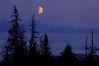 Alexia Mellups (AStarIsEarned) > Best of Alaska - Portfolio in Progress >  Horizontal Card of Orange Moon 081205136