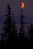 Alexia Mellups (AStarIsEarned) > Best of Alaska - Portfolio in Progress >  Vertical Card Orange-Moon-081205128_E1 Low