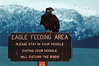 Alexia Mellups (AStarIsEarned) > Adolescent Eagle, Homer, Alaska.