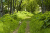 Alexia Mellups (AStarIsEarned) > Walk thru the Woods to the Sea, with Tricksi, Seaside Farm, Homer, Alaska.