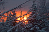 Alexia Mellups (AStarIsEarned) > Near the Russian Village East of Homer, Alaska.