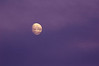 Alexia Mellups (AStarIsEarned) > Moon over Kachemak Bay, Homer, Alaska.