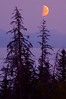 Alexia Mellups (AStarIsEarned) > Orange Moon over Kachemak Bay, near Homer, Alaska.