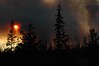 Alexia Mellups (AStarIsEarned) > Forest Fire on Tracy Road in Homer Alaska