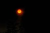 Alexia Mellups (AStarIsEarned) > Forest Fire on Tracy Road in Homer Alaska