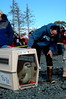 Alexia Mellups (AStarIsEarned) > YOYO THE HARBOR SEAL GETS A GLIMPSE OF THE SEA AND WANTS OUT OF THE CAGE!

Seal Release 09 06 05022