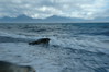 Alexia Mellups (AStarIsEarned) > ZOOM VIEW OF A SEAL JUST RELEASED AT BISHOP BEACH IN HOMER, ALASKA AFTER 4 MONTHS OF REHABILITATION AT SEWARD SEALIFE CENTER IN SEWARD, ALASKA

Seal Release 09 06 05041
