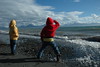 Alexia Mellups (AStarIsEarned) > Watching the Seals Swim Free