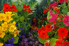 Barn Flowerbox : 