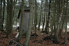 Alexia Mellups (AStarIsEarned) > My Outhouse >  Outhouse 1-09 with woods and tricksiWEB
