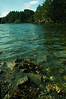 My Cove, Kodiak, Alaska
