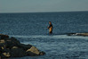 Alexia Mellups (AStarIsEarned) > Charlie at the fishing hole photo